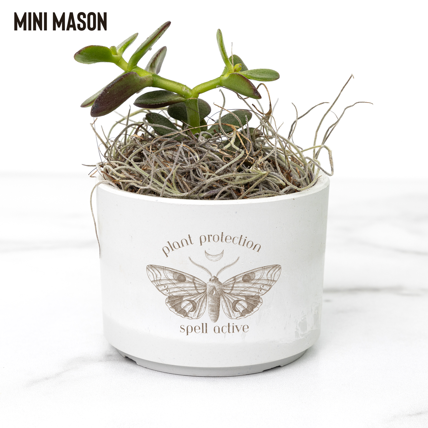 Plant_Protection_Spell_Active_Laser-_Mason_Mockup_Mockup.png