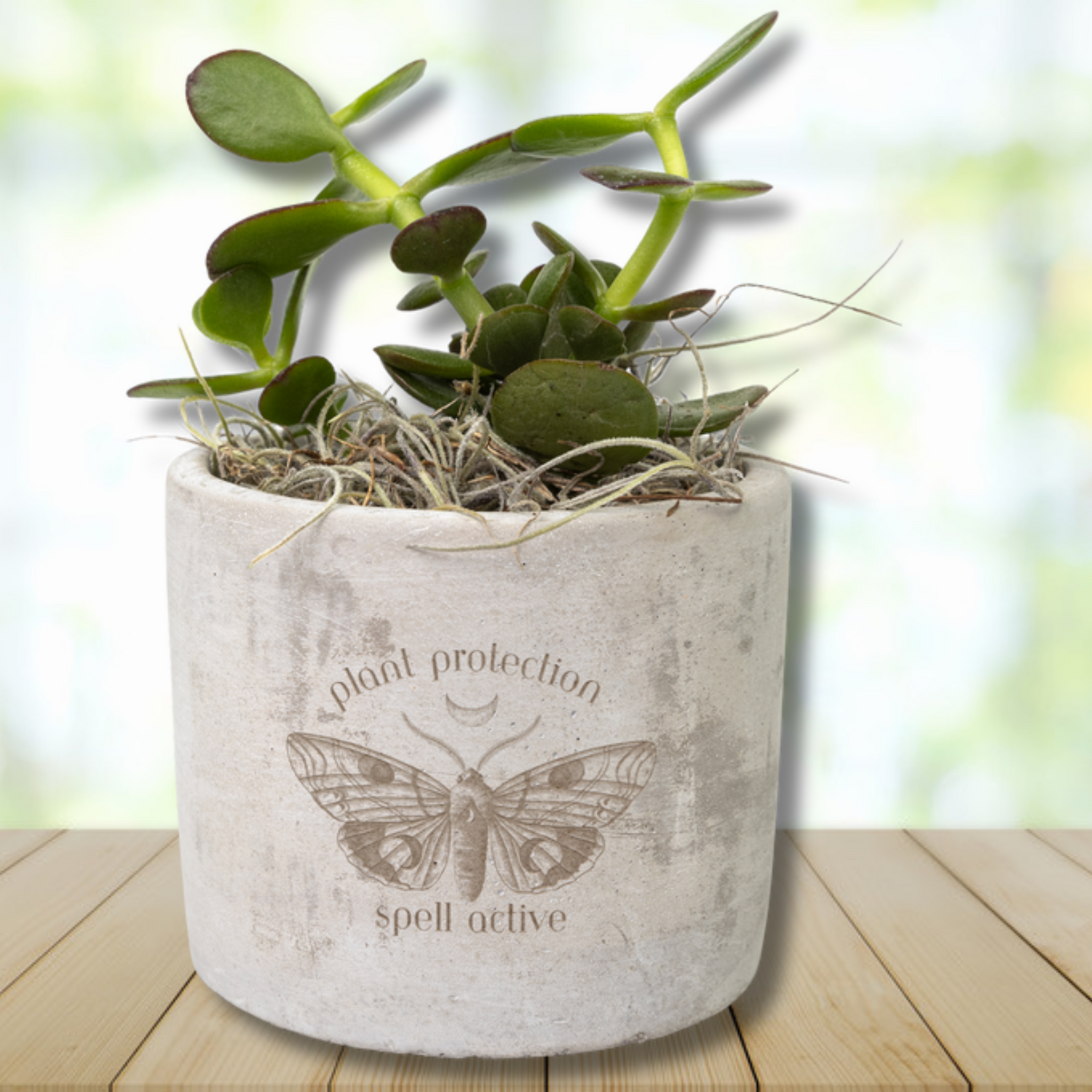 Plant_Protection_Spell_Active_Laser-_Parker_Mockup_Mockup.png